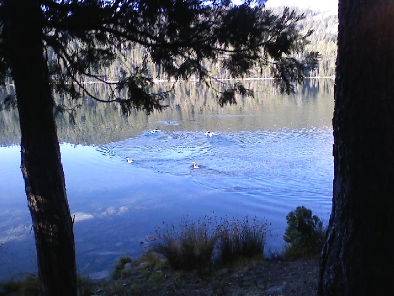 Sawmill lake 2 near Truckee